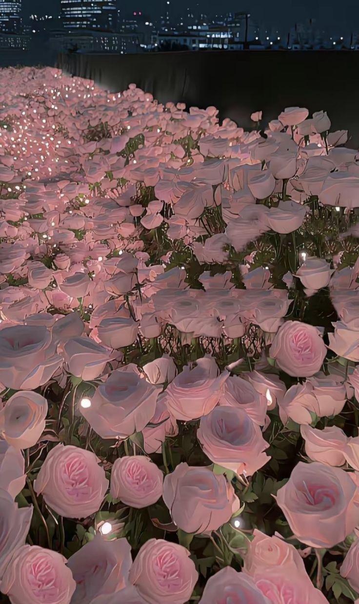 Celestial Nightfall Elegance Mix